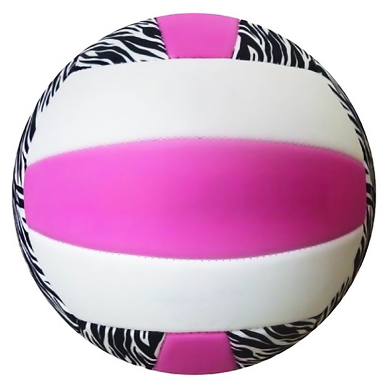 Volley Ball